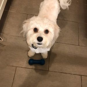 Meet your Posher, Stephen